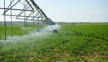 Solar Water Pump Inverters used on Agricultural Irrigation